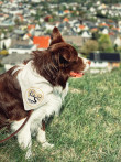 Tier Tücher